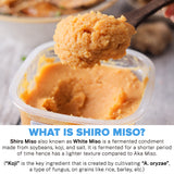 Shiro Miso Paste, 300g (Light Miso, Fermented Soybean Paste, Preservative-Free, Umami Rich)