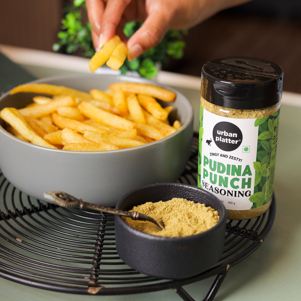 Urban Platter Pudina Punch Seasoning, 100g (Mint Seasoning | Refreshing and Appetizing | Classic Pudina Flavour)