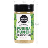 Urban Platter Pudina Punch Seasoning, 100g (Refreshing Minty Blend | Great for Fries, Popcorn, Makhanas & Salads)