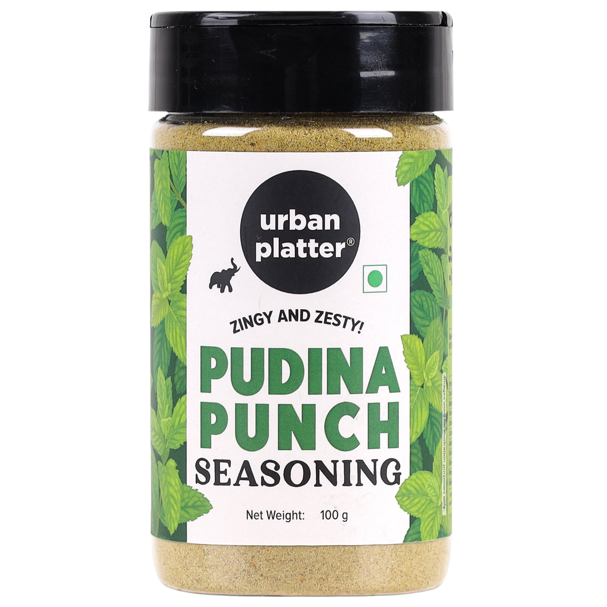 Urban Platter Pudina Punch Seasoning, 100g (Refreshing Minty Blend | Great for Fries, Popcorn, Makhanas & Salads)