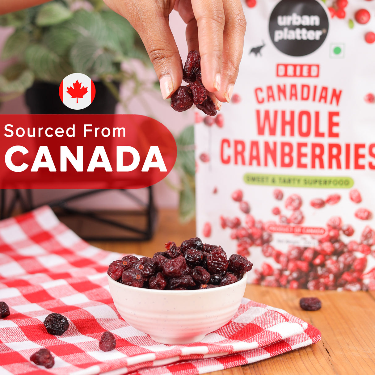 Urban Platter Dried Canadian Whole Cranberry, 250g (Dried Fruit Berries | Snack Pack | Sweet & Tarty)