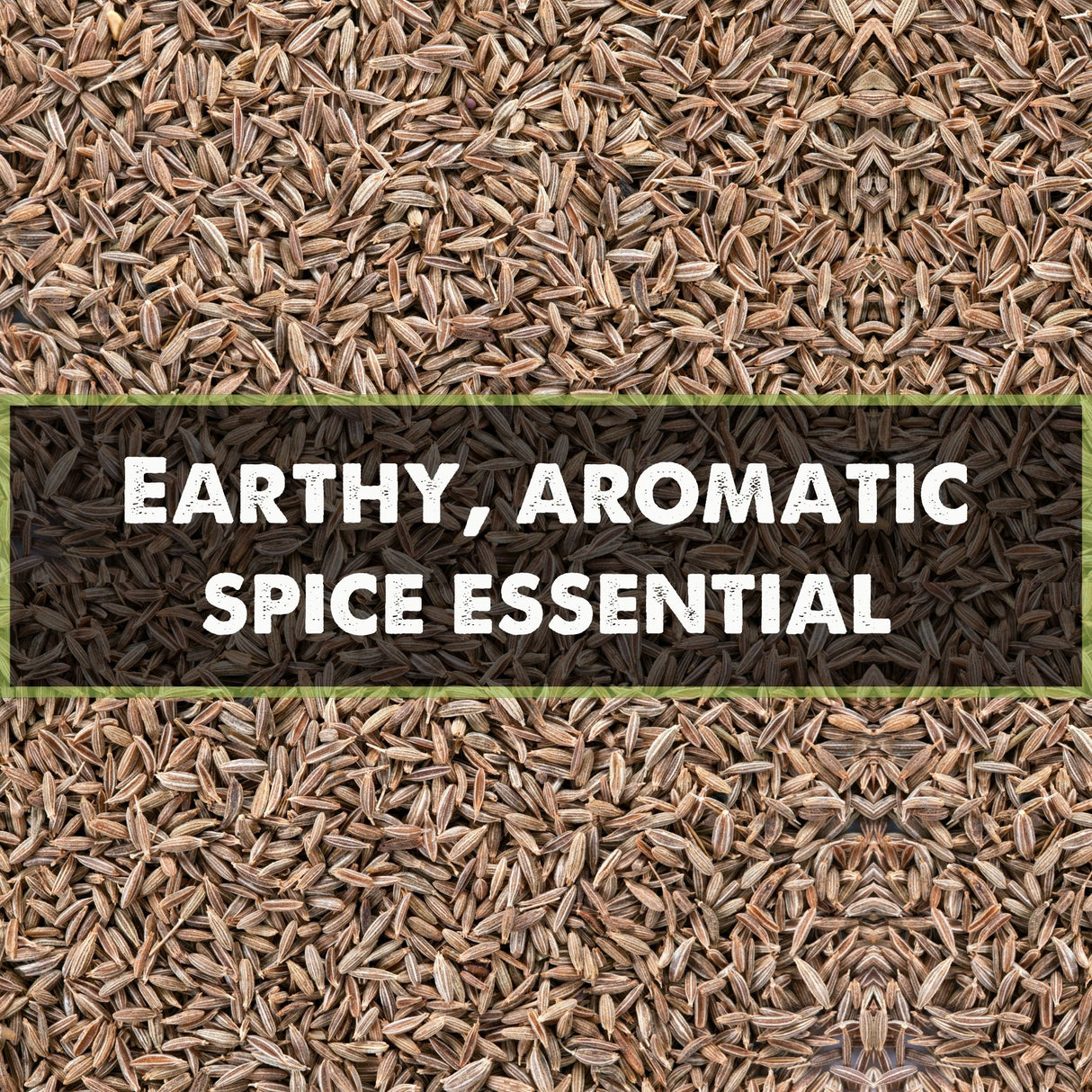 Urban Platter Whole Shahi Jeera, 400g (Shahi Jeera | Whole spices | Caraway seeds | Indian Khada Masala)