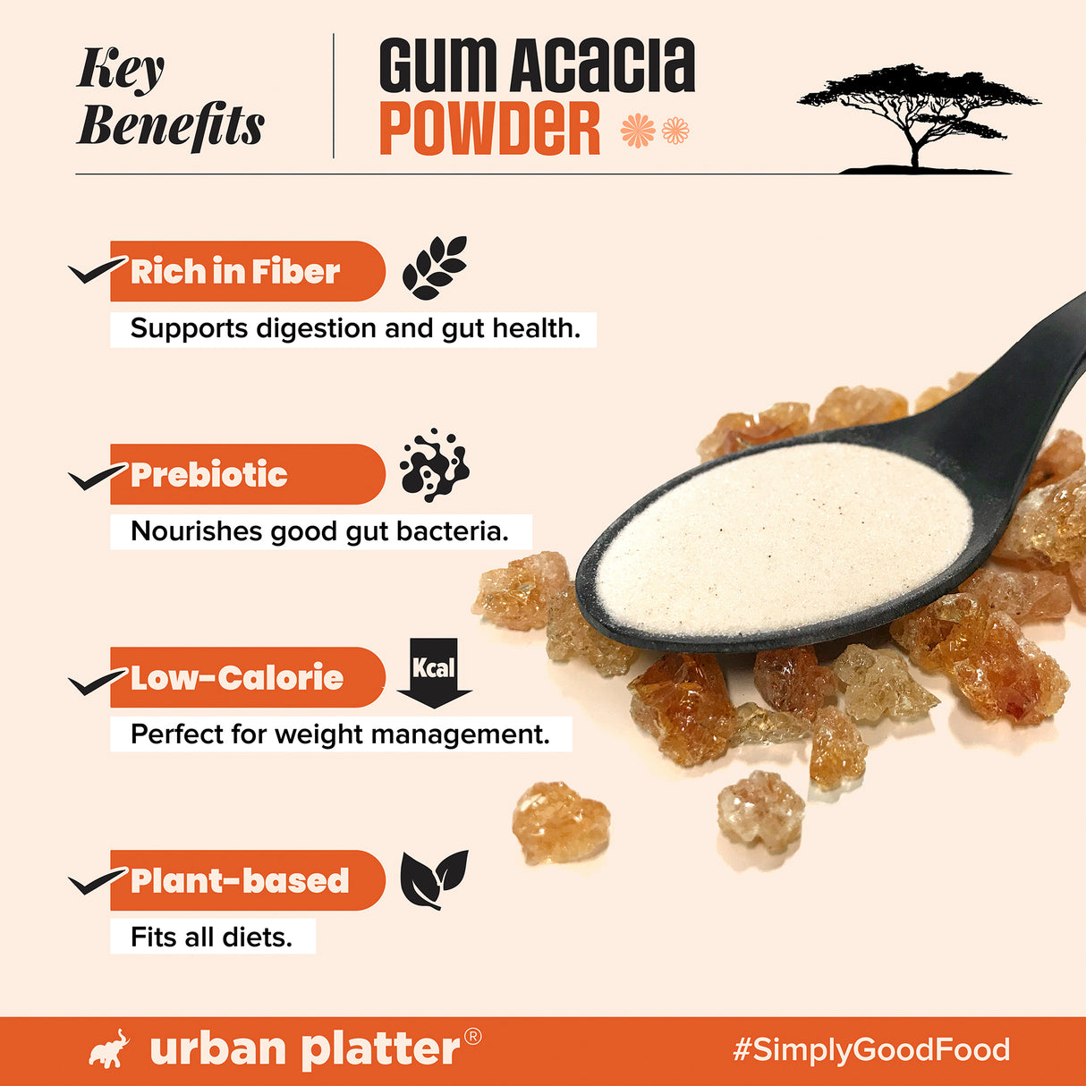 Urban Platter Gum Acacia Powder, 200g (Dink, Gond, Gunder)