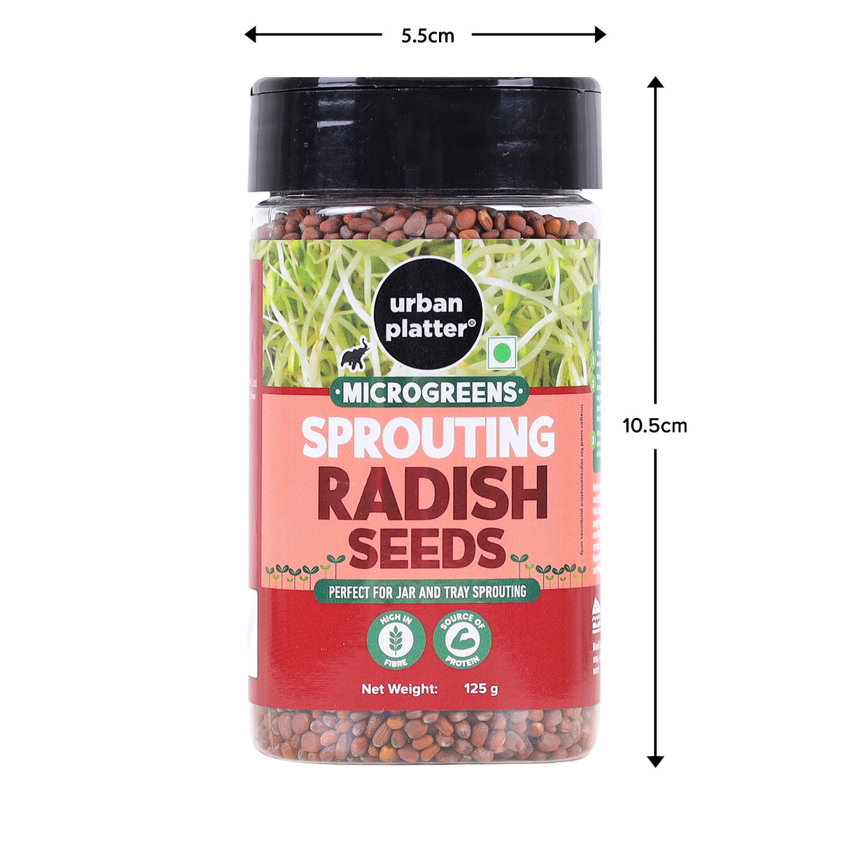 Urban Platter Microgreens Radish Sprouting Seeds Shaker Jar, 125g / 4.4oz [Nutritious Addition to Salads & Sandwiches]