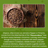 Urban Platter Whole Allspice, 100g [Jamaica pepper | Kabab-chini | Magic Spice]