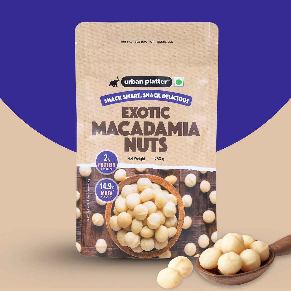 Urban Platter Bold and Exotic Macadamia Nuts (Grade A, Premium Quality, Crunchy, perfect for guilt-free snacking)