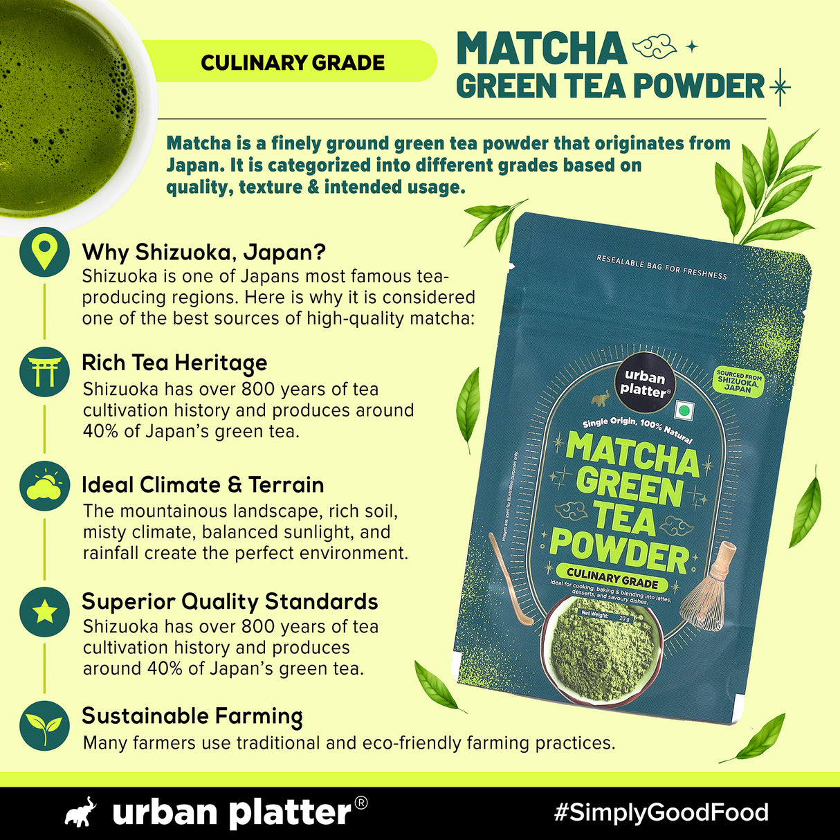 Urban Platter Japanese Culinary-grade Matcha Green Tea Powder, 20g (Sourced from Shizuoka, Japan | Stone-Ground | Antioxidant-rich)