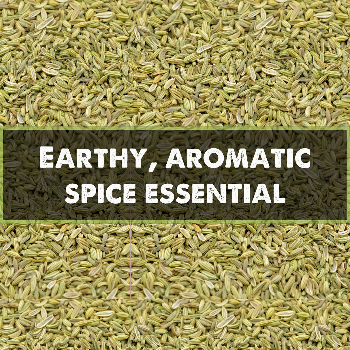 Urban Platter Raw Unroasted Fennel seeds, 80g (Saunf | Natural Coolant | Variyali | Post-Meal Digestive)