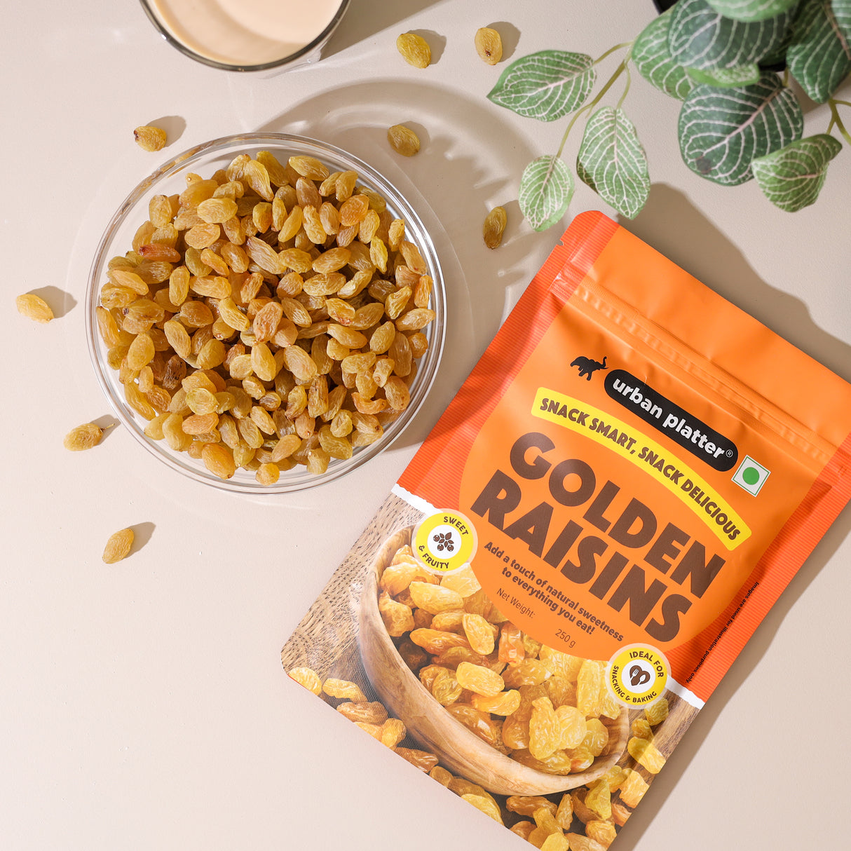 Urban Platter Indian Golden Raisins, 250g (Sweet & Chewy | Sun-Dried & Naturally Golden | Perfect for Desserts & Festive Cooking)