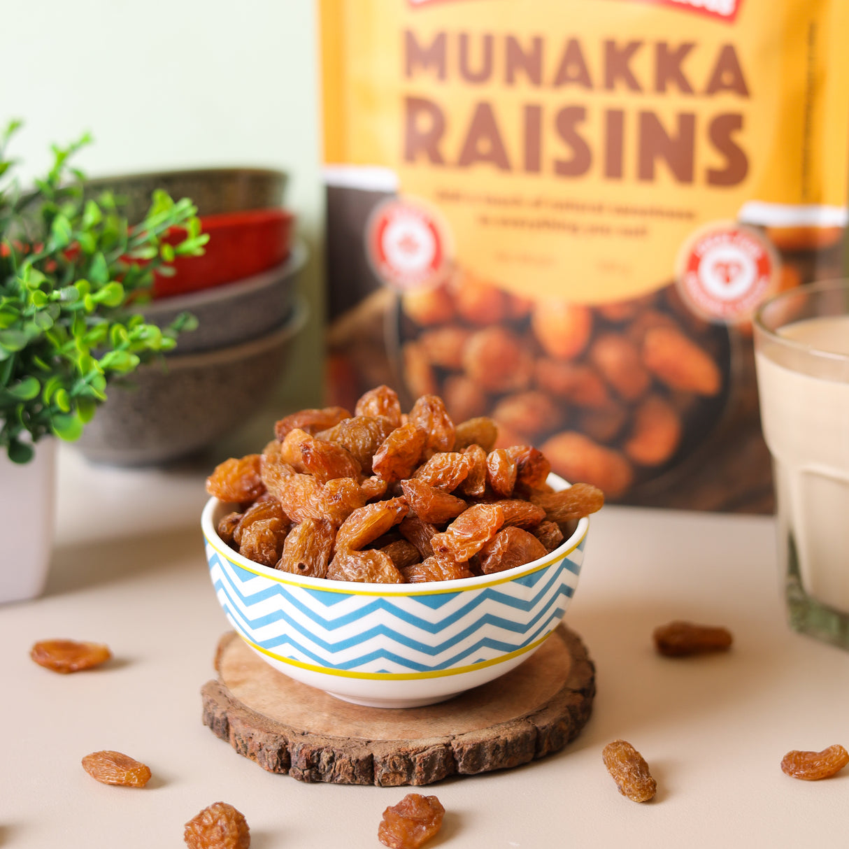 Urban Platter Premium Munakka Raisins, (Garnish or Add to Fruit Salads, Oatmeals, Mueslis, Trail Mixes, Ice creams, Baked Goods, Kheer & Ladoos)