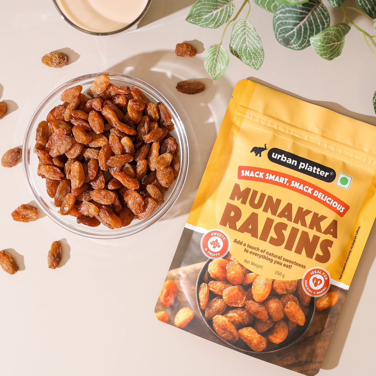 Urban Platter Premium Munakka Raisins, (Garnish or Add to Fruit Salads, Oatmeals, Mueslis, Trail Mixes, Ice creams, Baked Goods, Kheer & Ladoos)