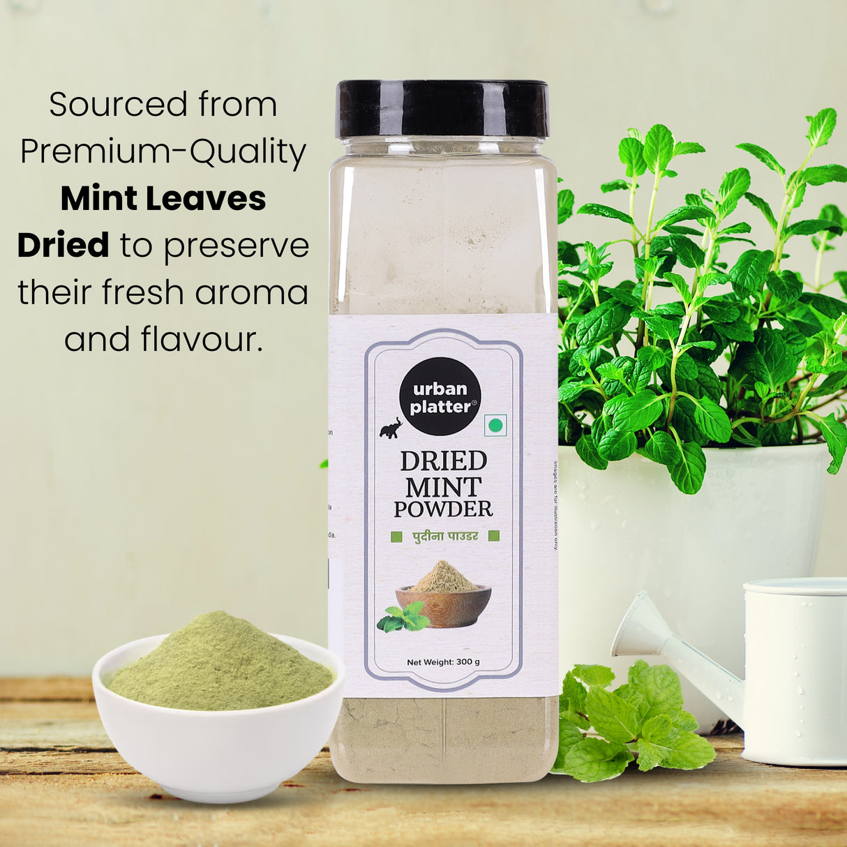 Urban Platter Dried Mint (Pudina) Powder, 300g