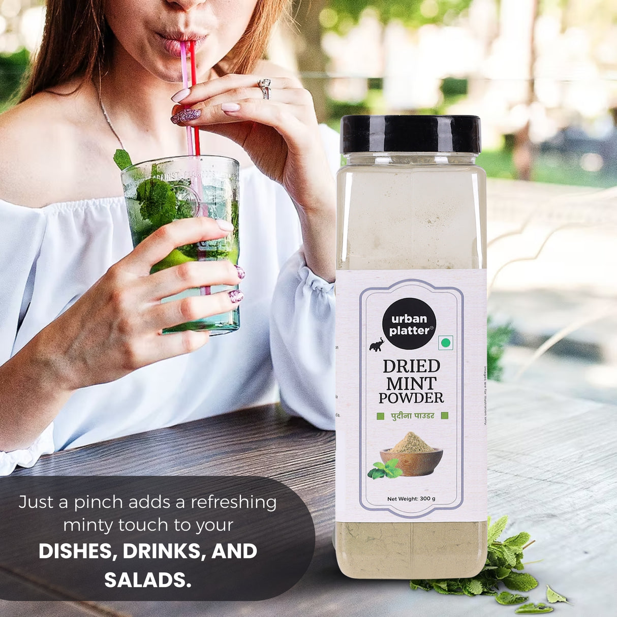 Urban Platter Dried Mint (Pudina) Powder, 300g