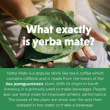Urban Platter Yerba Mate, 100g (Loose Leaf | Energizing | Supports Metabolism)