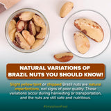 Urban Platter Brazil Nuts, 250g, (Rich in Selenium | Superfood | Have 1 Daily | Product of Peru)