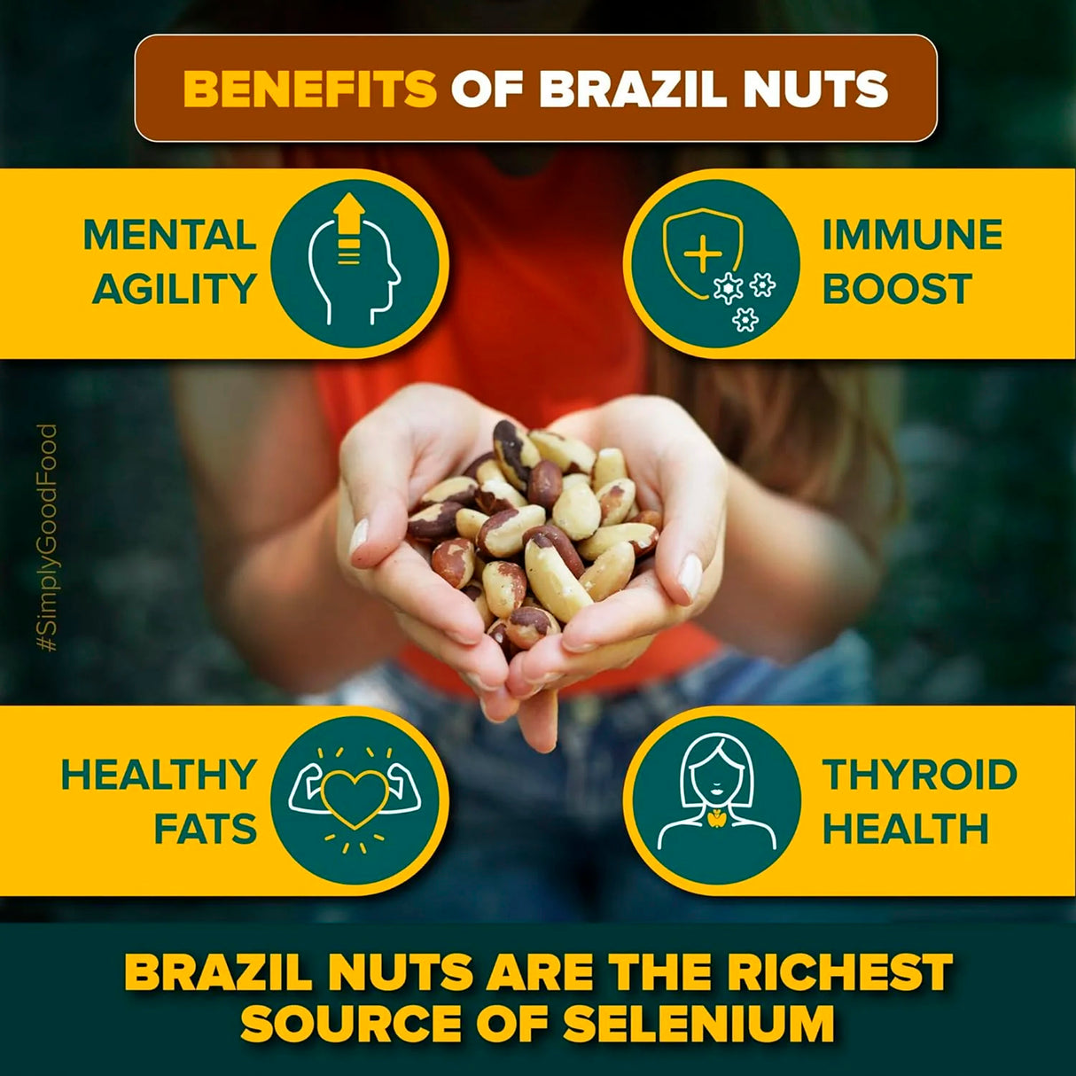 Urban Platter Brazil Nuts, 250g, (Rich in Selenium | Superfood | Have 1 Daily | Product of Peru)