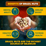 Urban Platter Brazil Nuts, 250g, (Rich in Selenium | Superfood | Have 1 Daily | Product of Peru)