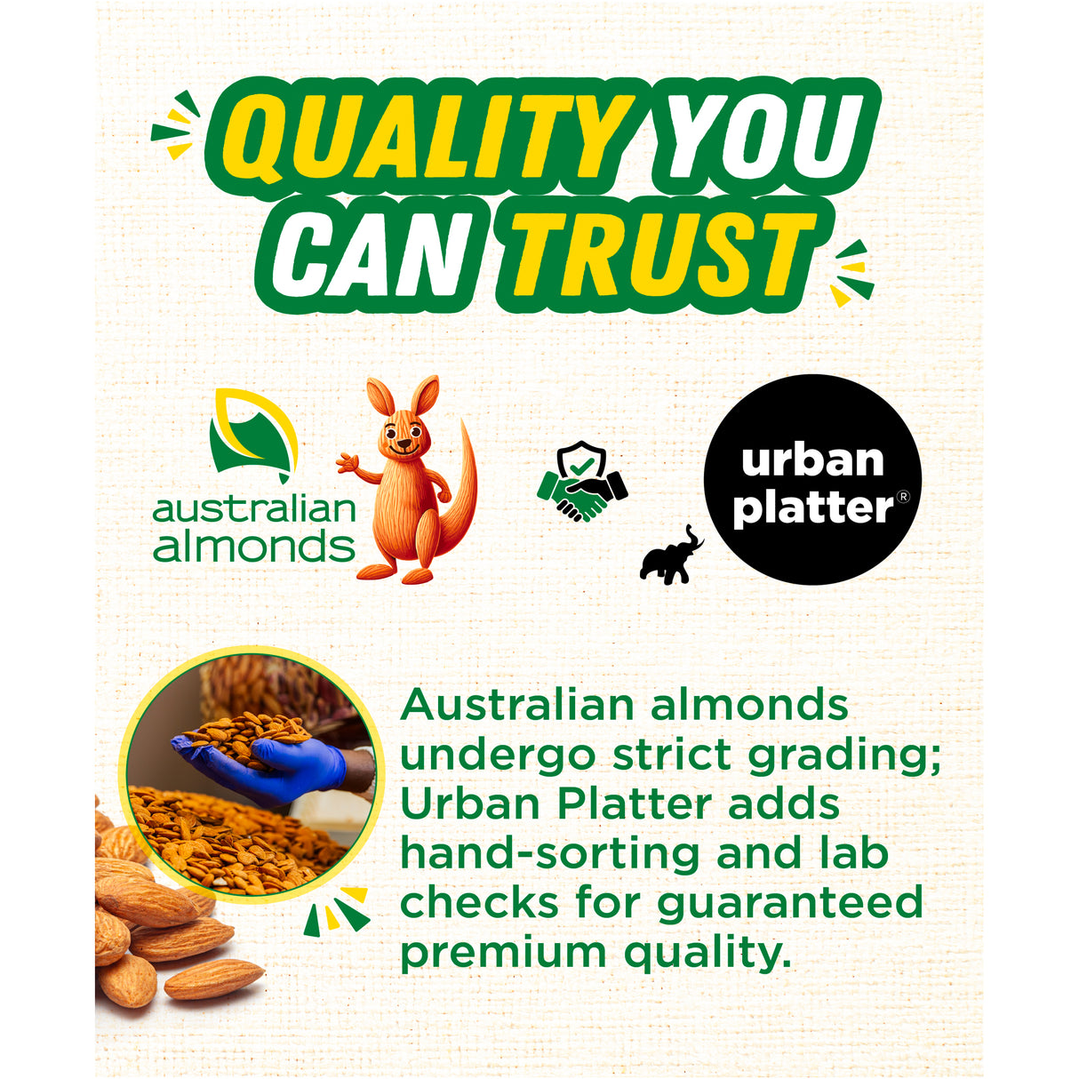 Urban Platter Australian Almonds, 250g (Fresh, Crunchy, Carefully Sourced for Daily Wellness) - product image 9
