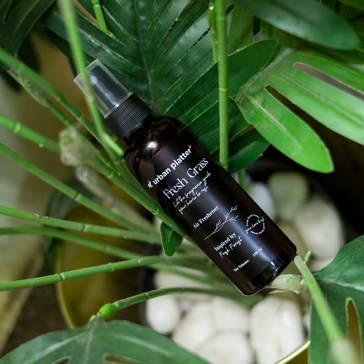 Urban Platter Fresh Grass Room Air Freshener Spray, 100ml (Fresh Cut Grass & Forest Scent, Odour Eliminator for Home, Office, Car & Bathroom)