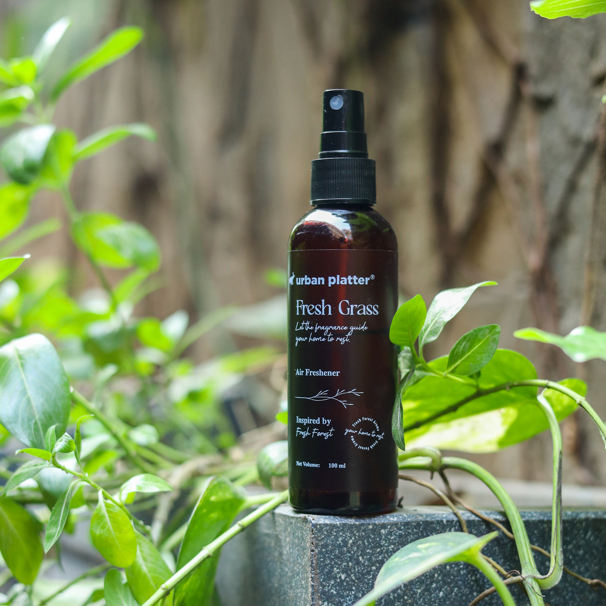 Urban Platter Fresh Grass Room Air Freshener Spray, 100ml (Fresh Cut Grass & Forest Scent, Odour Eliminator for Home, Office, Car & Bathroom)