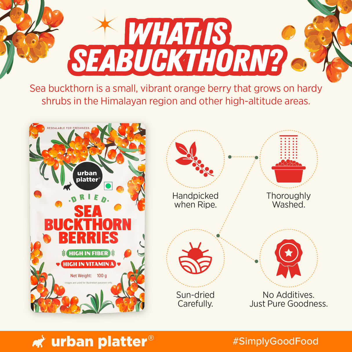 Dried Sea Buckthorn Berries, 100g (High in Vitamin A | High in Fiber | Tart & Tangy Superfruit | Add to Trail Mixes, Smoothies, Teas & Baking)