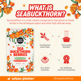 Dried Sea Buckthorn Berries, 100g (High in Vitamin A | High in Fiber | Tart & Tangy Superfruit | Add to Trail Mixes, Smoothies, Teas & Baking)