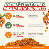 Dried Sea Buckthorn Berries, 100g (High in Vitamin A | High in Fiber | Tart & Tangy Superfruit | Add to Trail Mixes, Smoothies, Teas & Baking)