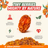 Dried Sea Buckthorn Berries, 100g (High in Vitamin A | High in Fiber | Tart & Tangy Superfruit | Add to Trail Mixes, Smoothies, Teas & Baking)