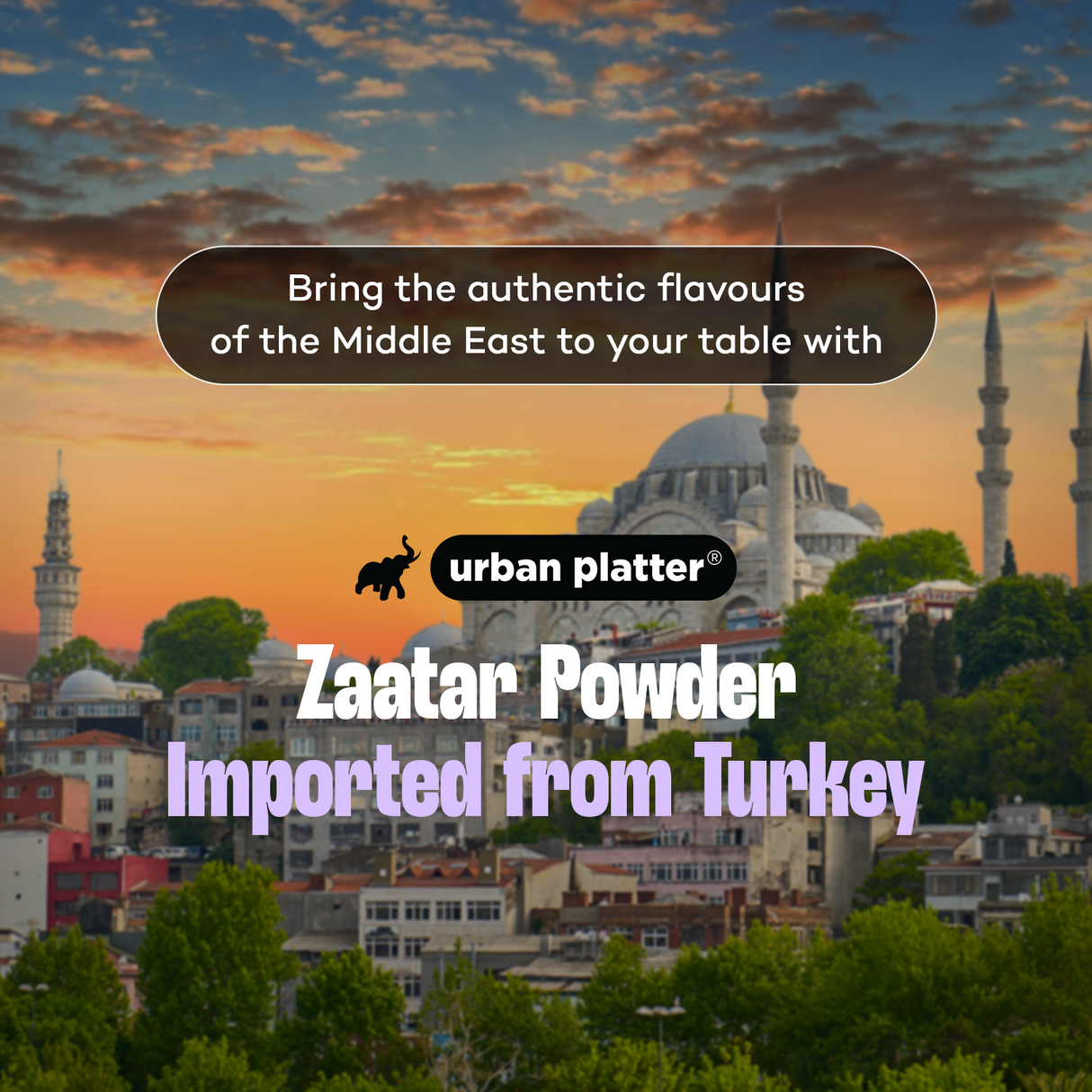 Urban Platter Zaatar Powder, | Middle Eastern Spice Blend | Herby, Tangy and Nutty | Use as a dry rub or sprinkler | Imported from Turkey