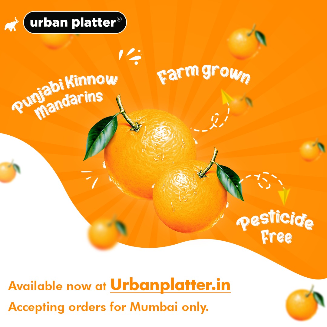 Urban Platter Certified Organic Fresh Kinnow Orange, 6 Units (Approx. 1kg)