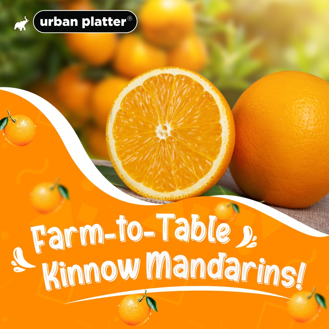 Urban Platter Certified Organic Fresh Kinnow Orange, 6 Units (Approx. 1kg)