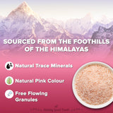 Urban Platter Pink Himalayan Rock Salt Powder, 3kg (Unrefined | Additive Free | 100% Pink Rock | Sendha | PET Jar)