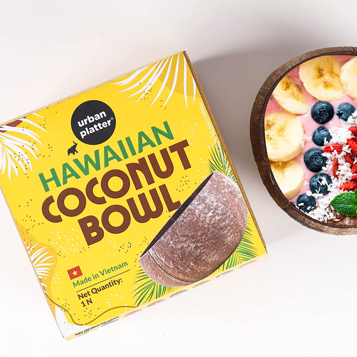 Urban Platter Hawaiian Coconut Bowl, 1N (Made in Vietnam | 100% Natural Coconut Shell | Light Weight | Easy to Clean | Eco-Friendly)