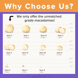 Urban Platter Bold and Exotic Macadamia Nuts, 250g (Grade A, Crunchy, perfect for guilt-free snacking)