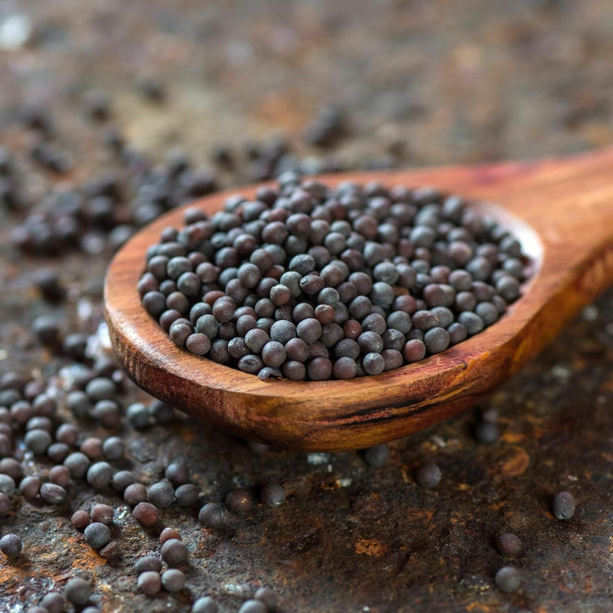 Urban Platter Whole Black Mustard Seeds, 125g (Rai | Sabut Sarson | Whole Spices | Indian Khada Masala)