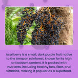 Urban Platter Freeze-dried Acai Berry Powder, 30g (Brazilian Superfood | Rich in Antioxidants | Perfect for Smoothies & Bowls)