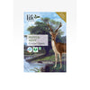 Peppermint Herbal Tea, 36g (Organic, 20 Tea Bags)