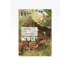 Green Tea, 34g (Organic, 20 Tea Bags)