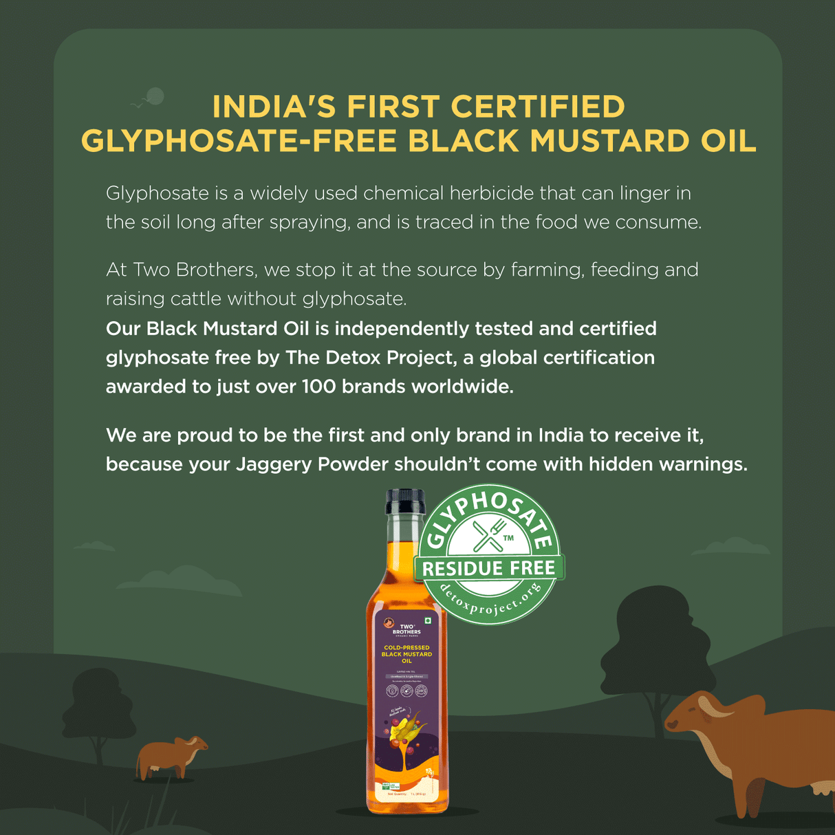 Two Brothers Organic Farms Mustard Oil/Sarso Ka Tel, 1L (Made using farm grown Mustard seeds, Cold-Pressed and Single-Filtered Oil for healthier Cooking, Kacchi Ghani, Natural and Unrefined)