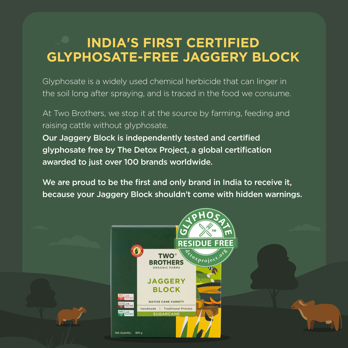 Two Brothers Organic Farms Handmade Sugarcane Jaggery Block, 900g (Unrefined, Preservative-Free, Nutrient-Rich Gud, Iron-Boosting, Healthy Sugar Substitutes)