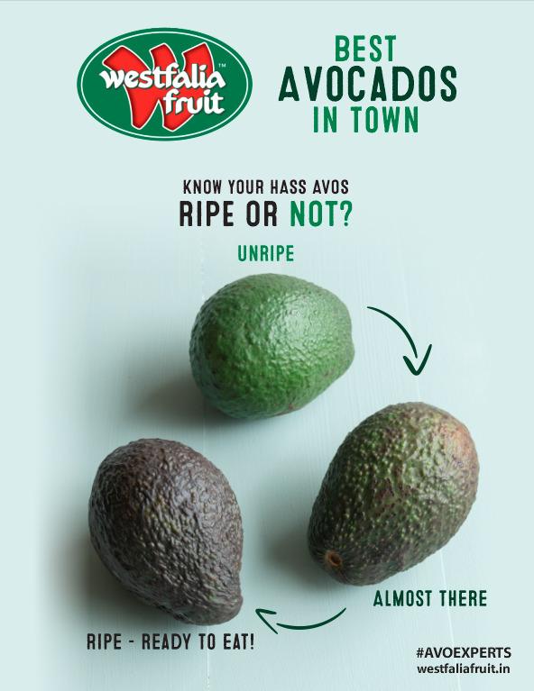 Westfalia Prime Semi-Ripe Medium-Large Size Hass Avocado, 1 Piece (Power Packed with Vitamin E and Omega 3 Fatty Acids)