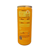 Orange Probiotic Kombucha, 330ml