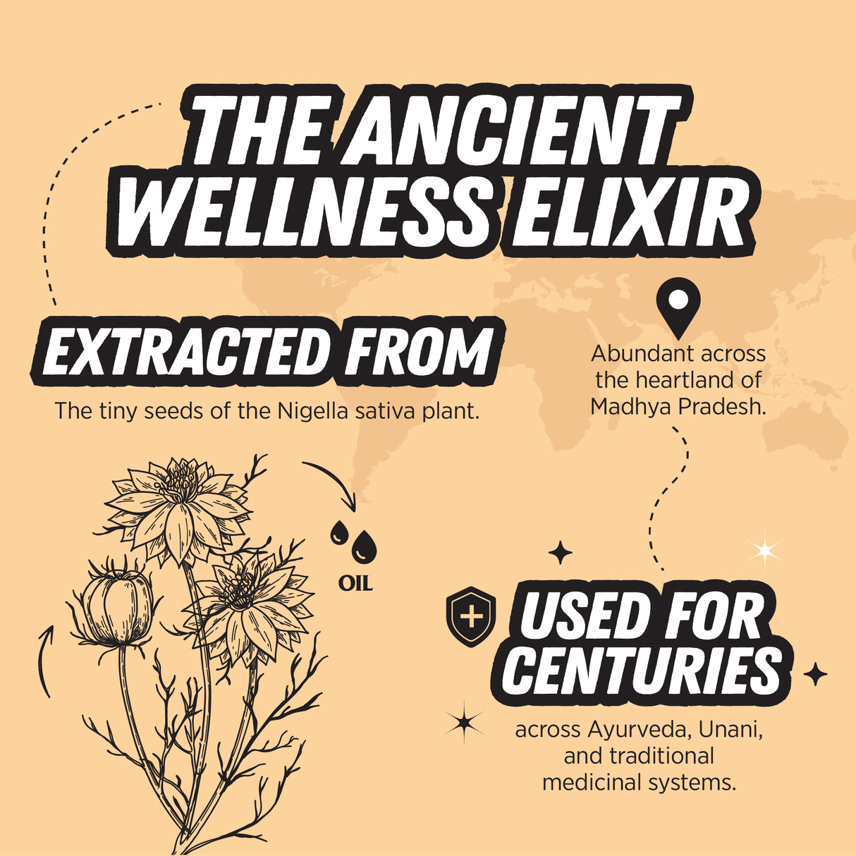 Black Seed Oil, 100ml