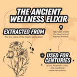 Black Seed Oil, 100ml