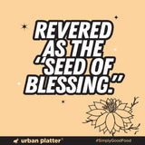 Urban Platter Black Seed Oil, 15ml (Consume daily for overall well being and vitality) - product image 4