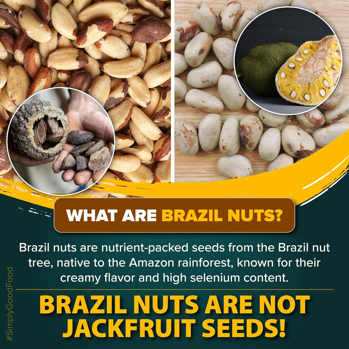 Urban Platter Brazil Nuts, 250g, (Rich in Selenium | Superfood | Have 1 Daily | Product of Peru)
