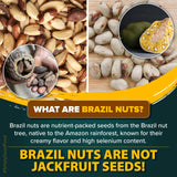 Urban Platter Brazil Nuts, 250g, (Rich in Selenium | Superfood | Have 1 Daily | Product of Peru)