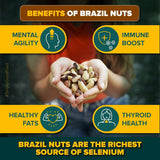 Urban Platter Brazil Nuts, 500g (Rich in Selenium | Superfood | Have 1 Daily | Product of Peru)