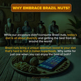 Urban Platter Brazil Nuts, 500g (Rich in Selenium | Superfood | Have 1 Daily | Product of Peru)
