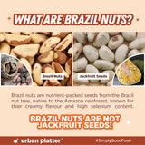 Broken Brazil Nuts, 200g (Naturally Broken Pieces for Convenience | Rich in Selenium | Superfood | Have 1 Daily | Product of Peru)